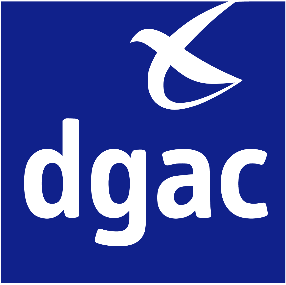 DGAC (Direction Générale de l'Aviation Civile) - DSNA-DTI logo